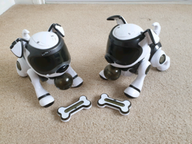 texter robot dog